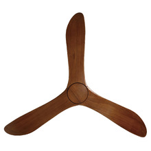 Currumbin DC Ceiling Fan with Remote Control